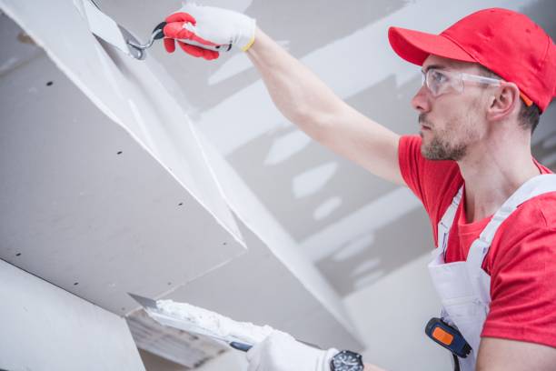 Best Water-Damaged Drywall Repair  in Troy, OH